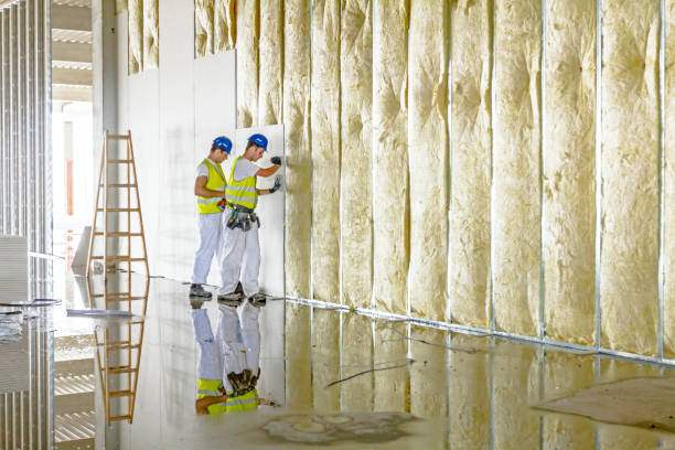 Best Types of Insulation in Yutan, NE